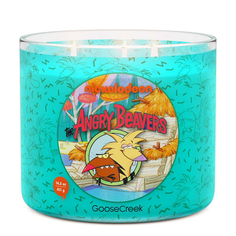 Angry Beavers Nickelodeon 3-Wick Candle K3