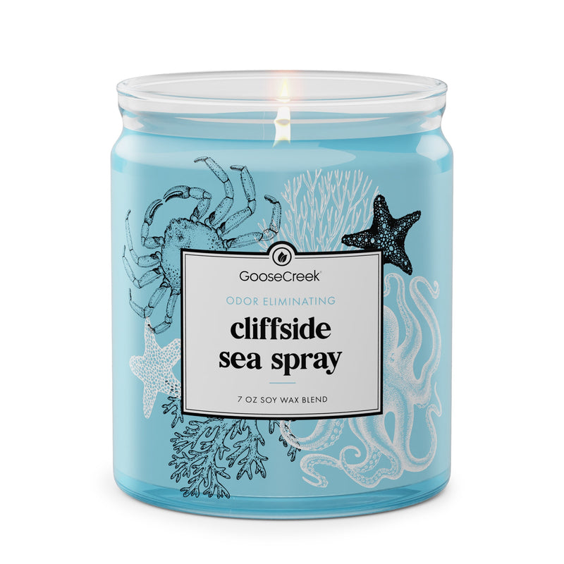 Cliffside Sea Spray Odor Eliminating 7oz Single Wick Candle T0