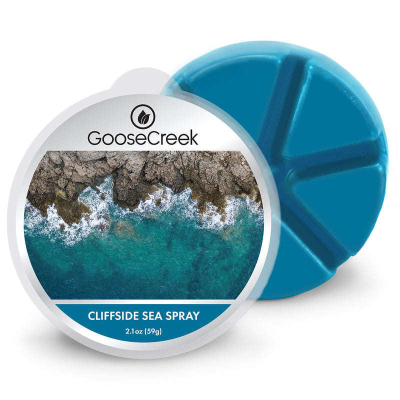 Cliffside Sea Spray Wax Melt O9